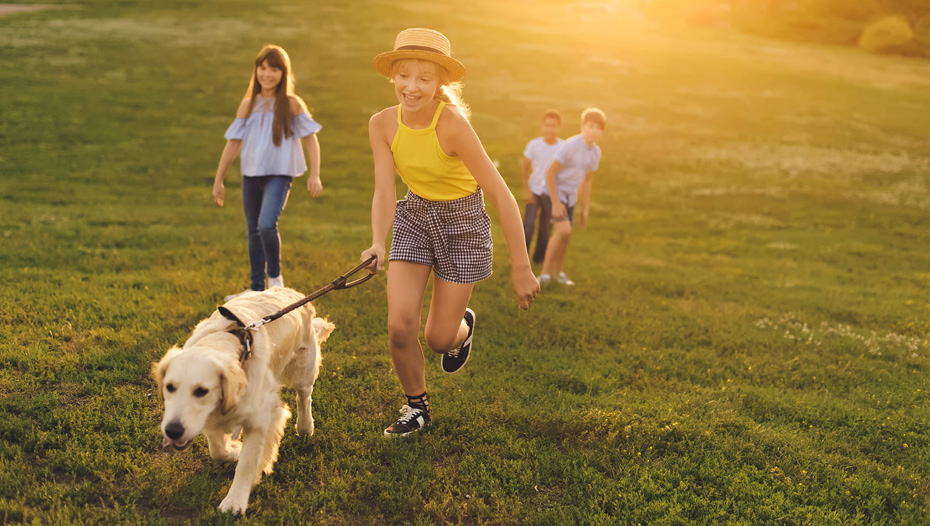 Four children run with their dog outside on a sunny day.