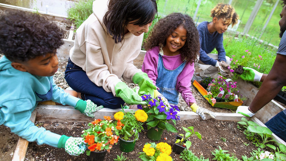 Children and their parents gardening together.